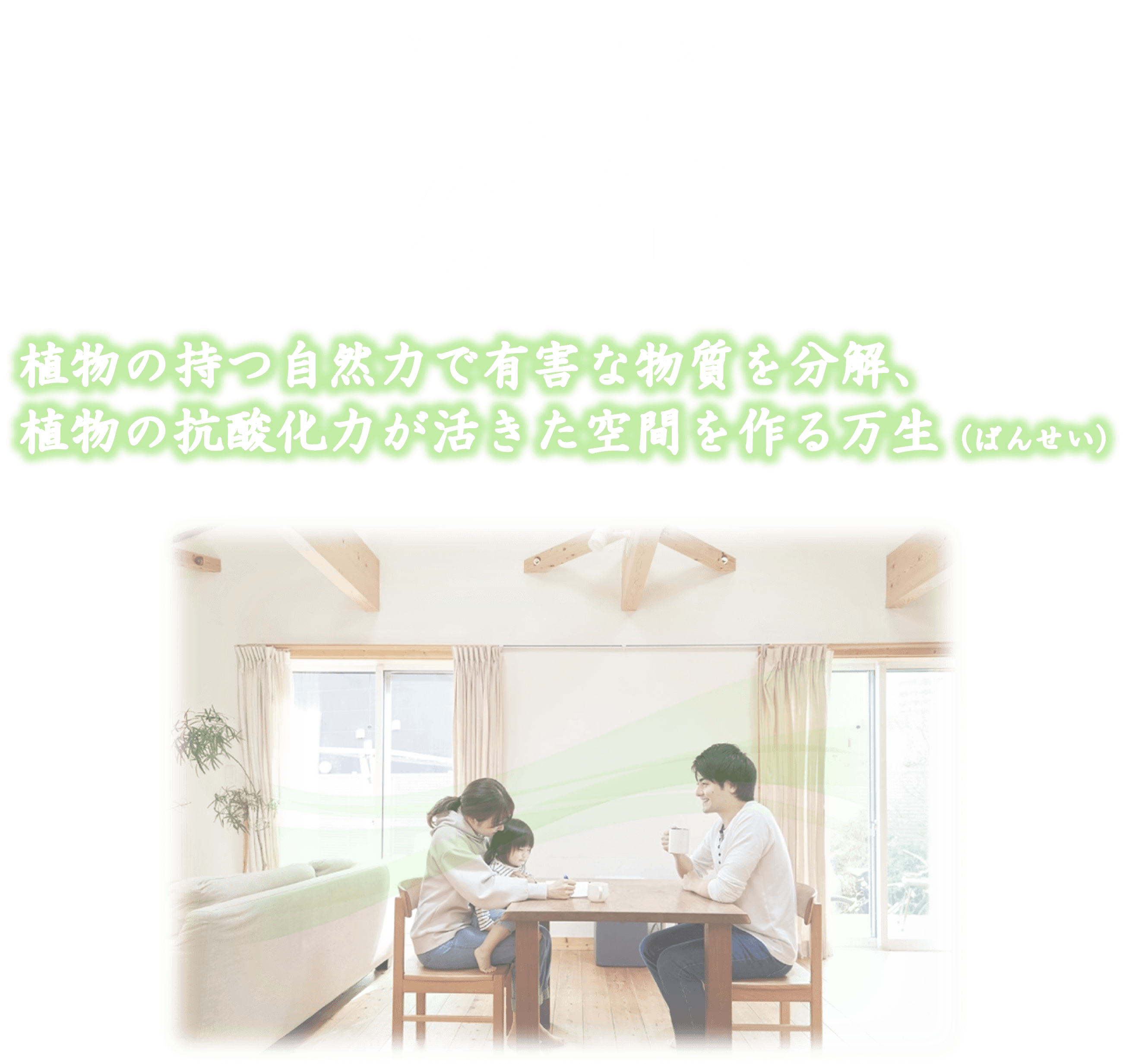万生 植物の持つ自然力で有害な物質を分解、植物の抗酸化力が活きた空間を作る万生